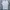 LMC Streetwear Casual T-shirt Pria white photo 6