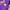 Casual T-shirt Pria purple photo 4