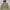 Billabong Gorpcore Sportswear Windbreaker Pria Tan