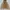 Billabong Gorpcore Sportswear Windbreaker Pria tan photo 6