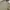 Billabong Gorpcore Sportswear Windbreaker Pria tan photo 2