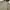 Billabong Gorpcore Sportswear Windbreaker Pria Tan
