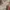 Billabong Gorpcore Sportswear Windbreaker Pria tan photo 4
