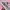 Onitsuka Tiger Casual Boots Wanita white pink photo 6