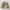 Vintage Casual Fur coat Pria cream photo 2