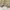 Vintage Casual Fur coat Pria cream photo 5