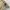 Vintage Casual Fur coat Pria cream photo 4
