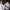 Y2K Hoody Pria white photo 3