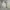 Streetwear Windbreaker Pria cream photo 2