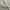 Streetwear Windbreaker Pria cream photo 6