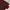 Uniqlo Gorpcore Track jacket Pria red photo 4