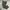 Adidas Y2K Pria green photo 1