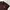 Burberry Casual Polo Shirt Pria Brown