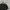 Uniqlo Casual Polo Shirt Pria Black