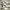 Nike Casual Sneakers Pria white photo 1