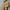 Hush Puppies Vintage Casual Harrington jacket Pria brown photo 2