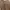 Casual Sweater Wanita brown photo 1