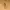Tommy Hilfiger Streetwear Jumper Pria tan yellow photo 3