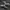 Adidas Streetwear Casual Sneakers Pria white black photo 5