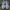 Adidas Streetwear Casual Sneakers Pria White Black