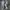 Adidas Streetwear Casual Sneakers Pria white black photo 4