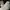 New Balance Streetwear Sportswear Sneakers Pria White