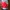  Timbuk2 Gorpcore Bag Pria red photo 8
