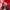  Timbuk2 Gorpcore Bag Pria red photo 3