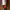  Timbuk2 Gorpcore Bag Pria red photo 7