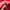  Timbuk2 Gorpcore Bag Pria red photo 4