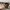 Naked Wolfe Vintage Minimalist Other Kids pink cream photo 4