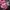 032c Accessory Kids purple pink photo 1