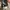 The North Face Streetwear Minimalist Formal pants Pria khaki cream photo 5
