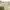 The North Face Streetwear Minimalist Formal pants Pria khaki cream photo 2