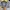 Crocodile Avant Garde Casual Polo shirt Pria blue yellow photo 3