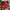 Nike Sportswear Casual Hat Pria red photo 2
