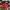 Nike Sportswear Casual Hat Pria Red