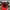 Nike Sportswear Casual Hat Pria red photo 4