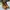 Timberland Streetwear Y2K Boots Pria orange photo 1