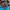 Elstinko Cosplay Futurist Hat Pria blue photo 2