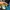 Elstinko Cosplay Futurist Hat Pria blue photo 6
