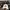 Adidas Sportswear Casual Hat Pria white photo 1