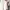 Streetwear Casual Hoody Pria white cream photo 4