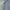 Tommy Hilfiger Casual Sweatshirt Pria multicolor photo 3