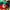 A Bathing Ape Avant Garde Casual Sweatshirt Pria green photo 4
