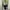 Vintage Y2K Formal shirt Pria yellow photo 2