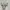 Avant Garde Casual Sweatshirt Pria white photo 5
