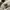 Japanese brand Streetwear Cosplay Sweatshirt Pria white photo 6