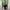 Vintage Y2K Casual shirt Pria green photo 2