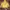 Adidas Casual Hoody Pria yellow photo 2